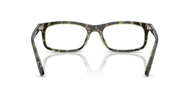 RB5450 OPTICS 6