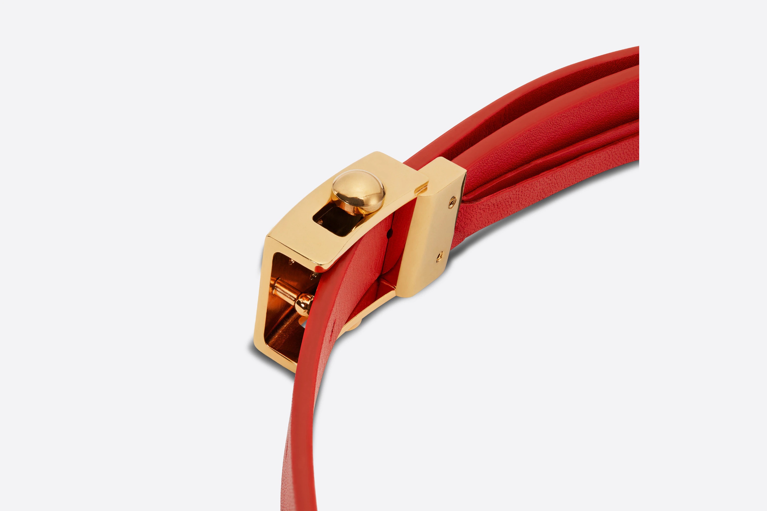 Diorpolytechnique Belt - 4