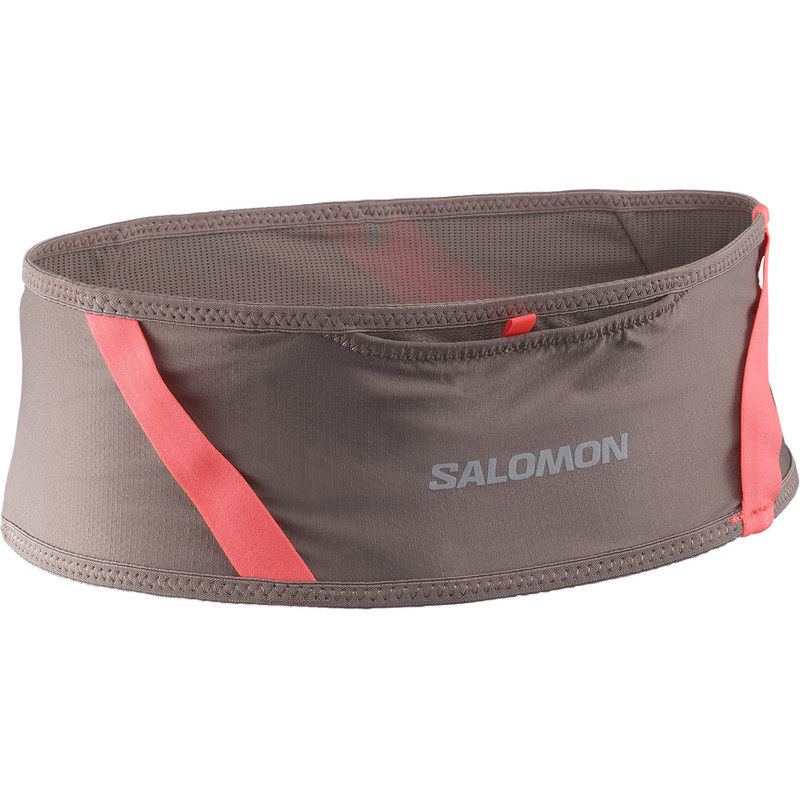 SALOMON PULSE outlook