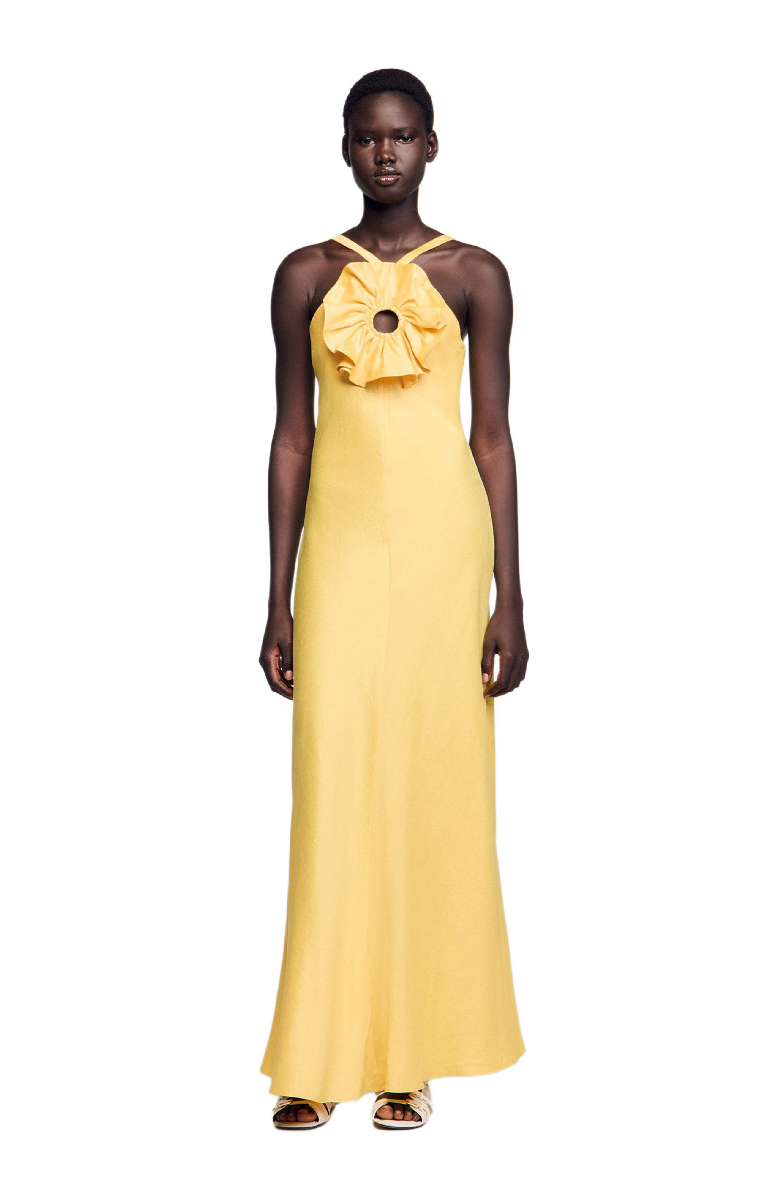 SANDRO Floral detail maxi dress in Straw at Nordstrom - 1
