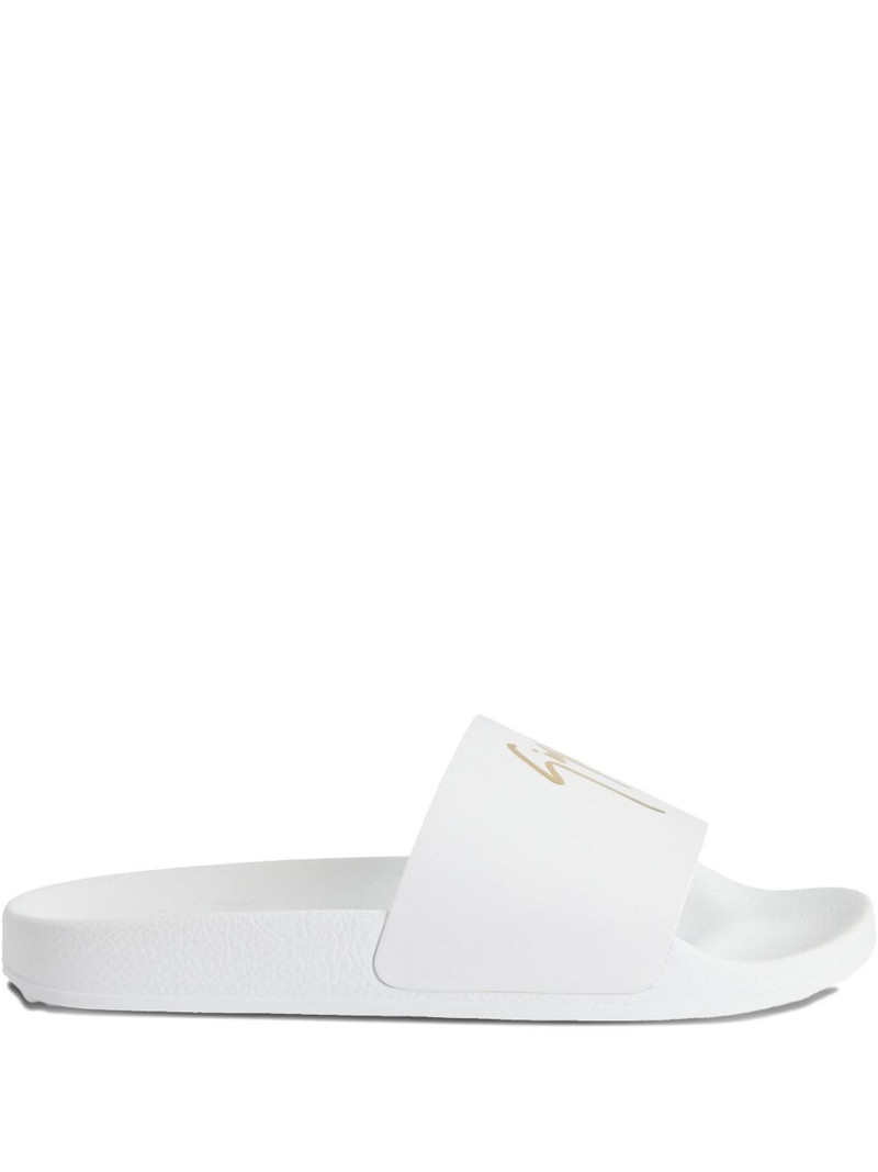Brett slides 1