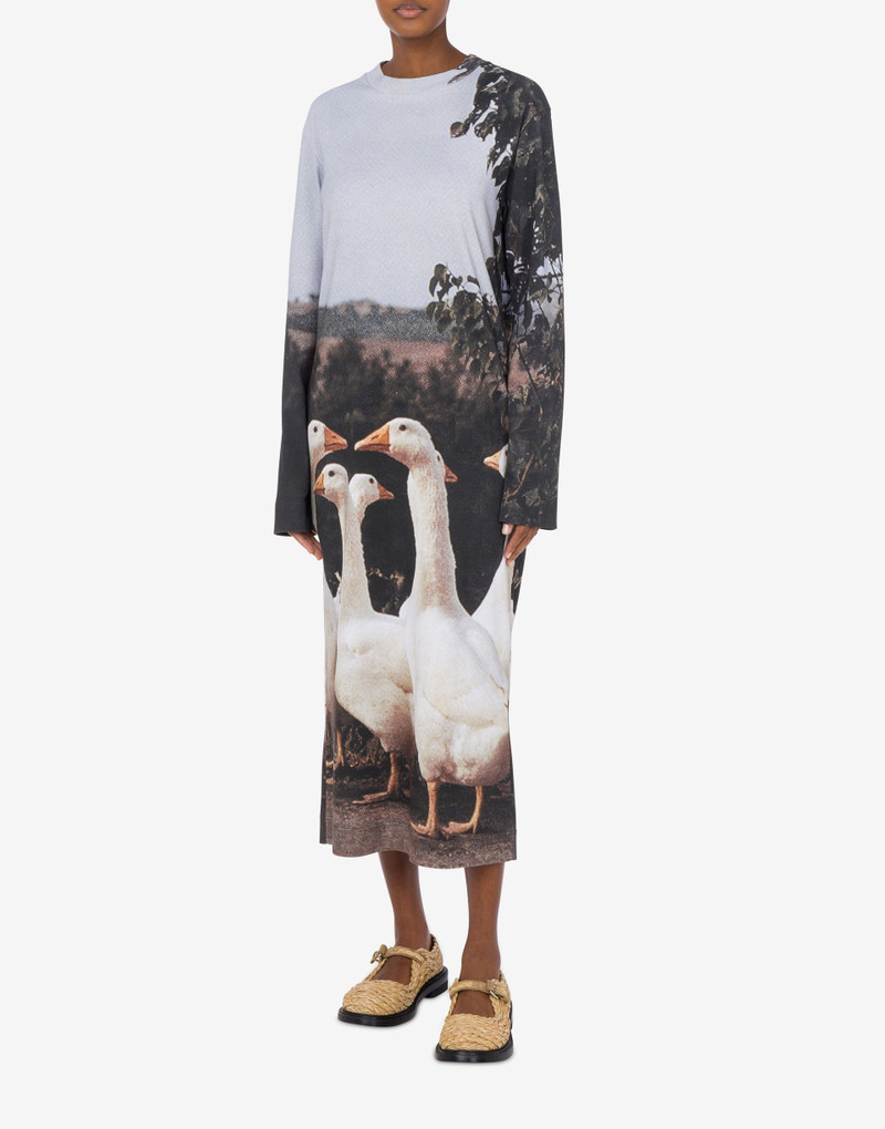 INTERLOCK DRESS GOOSE PRINT 1