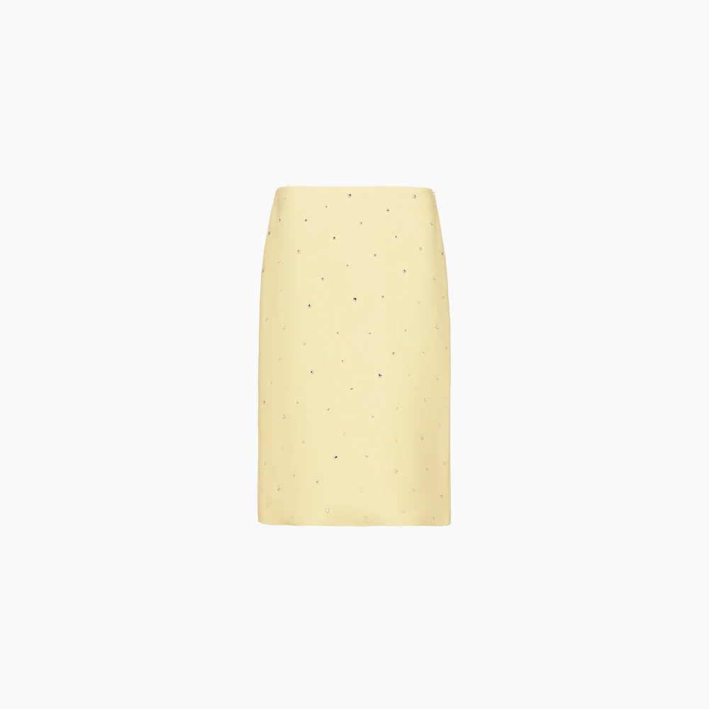 Cady skirt with diamanté embroidery - 1