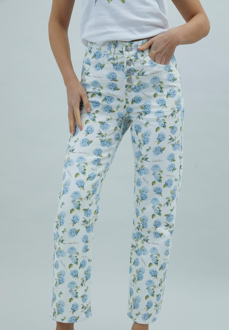 HYDRANGEA JESSIE JEANS 4