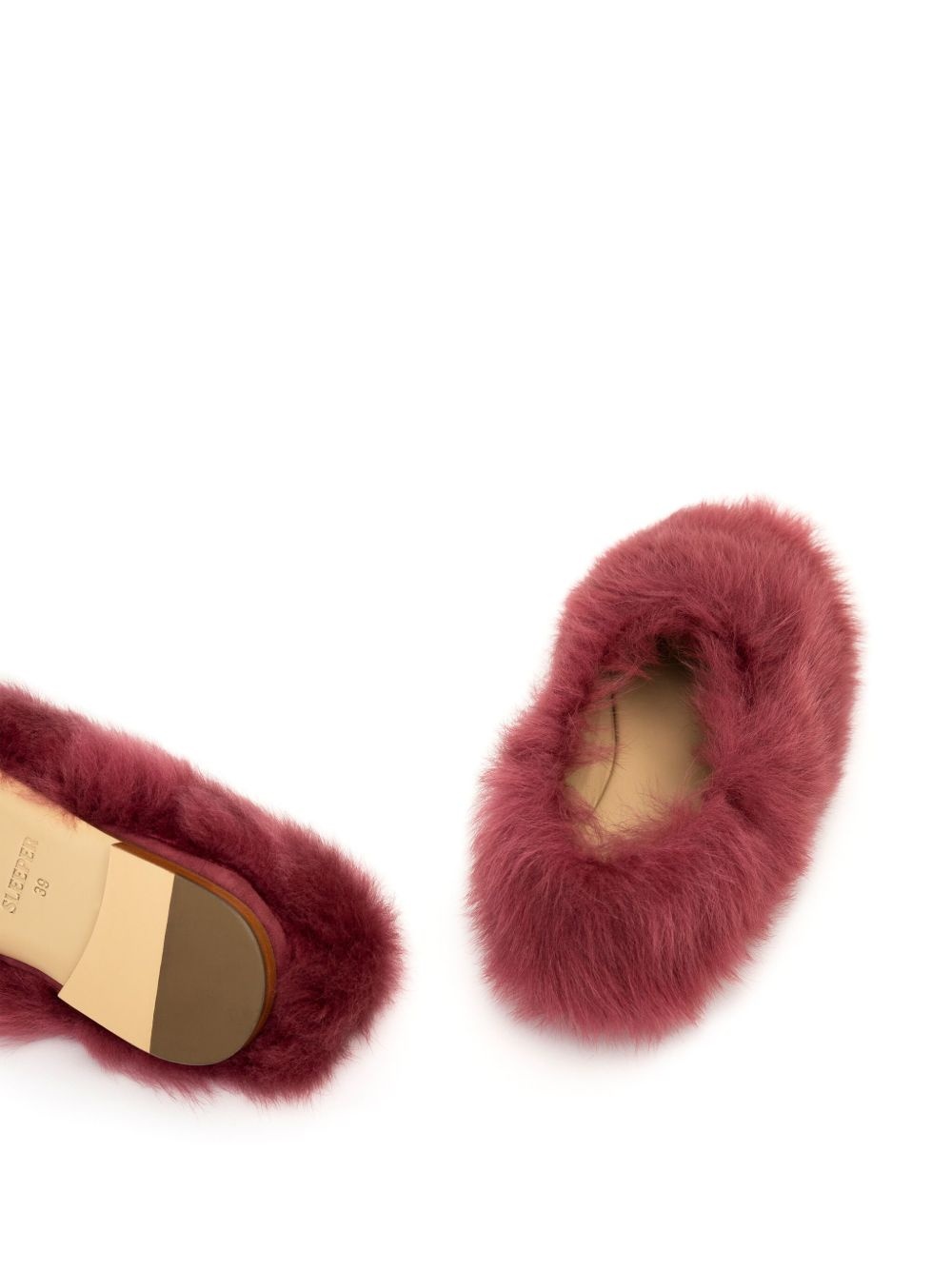 Kiwi Kiwi ballet flat - 3