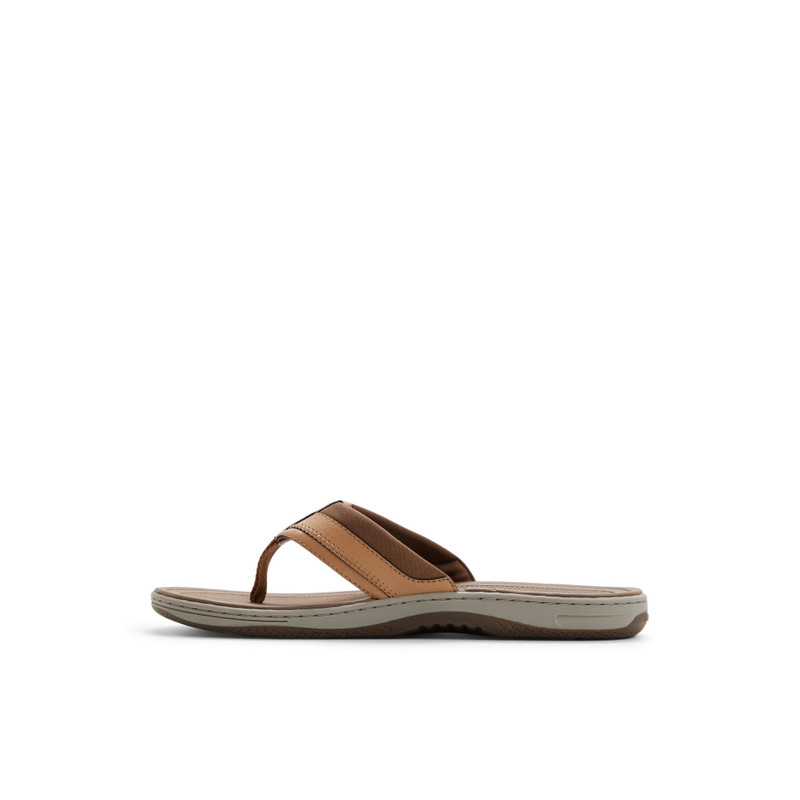 SPERRY Havasu Sport Sandal outlook
