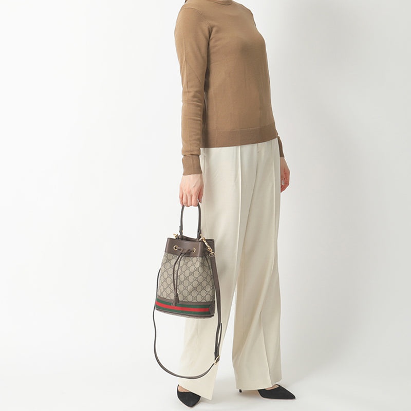 (WMNS) Gucci Ophidia Logo Stripe Webbing Canvas Drawstring handbag Small / Brown Classic 550621-96I3 - 7