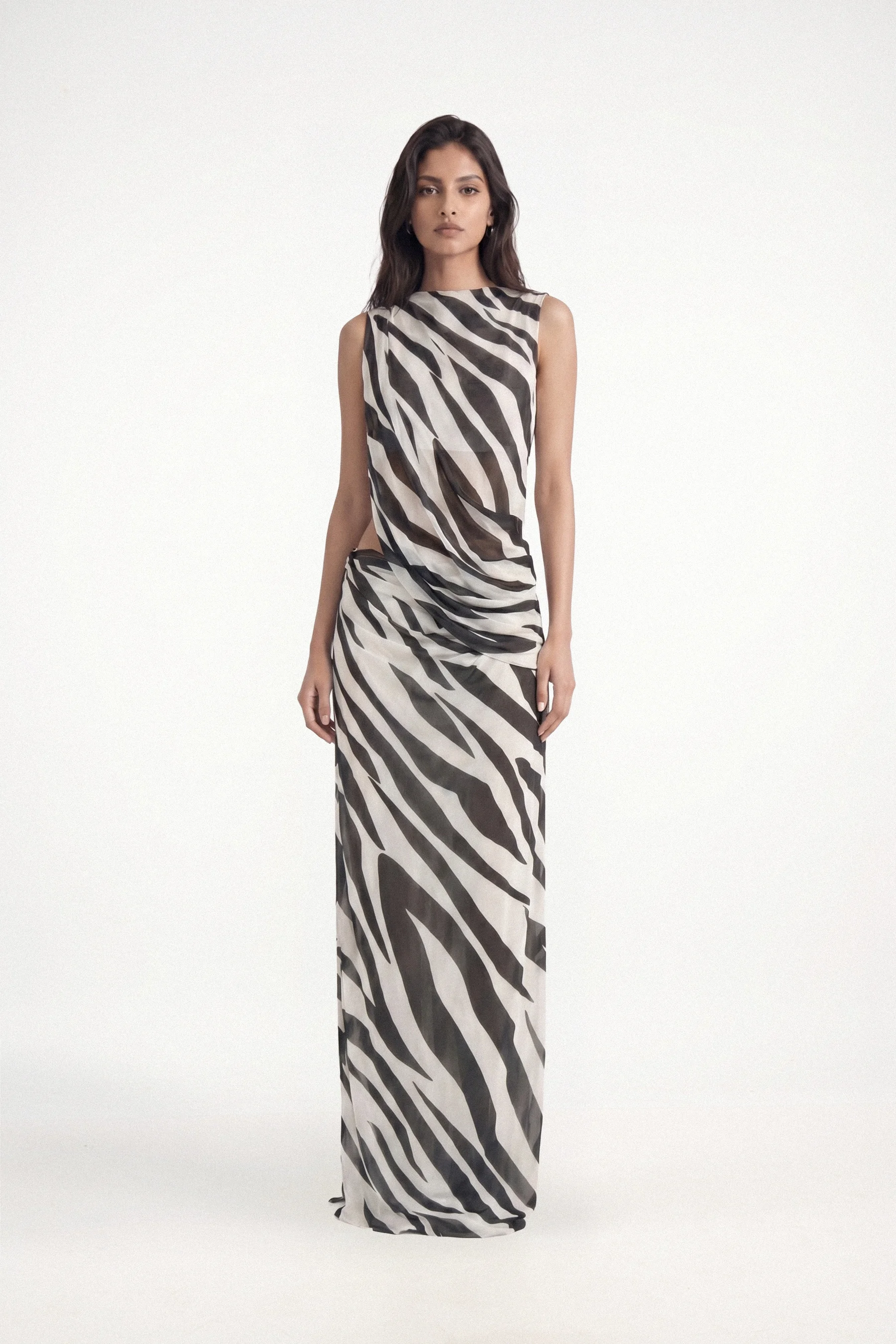 Spencer - Zebra - 1