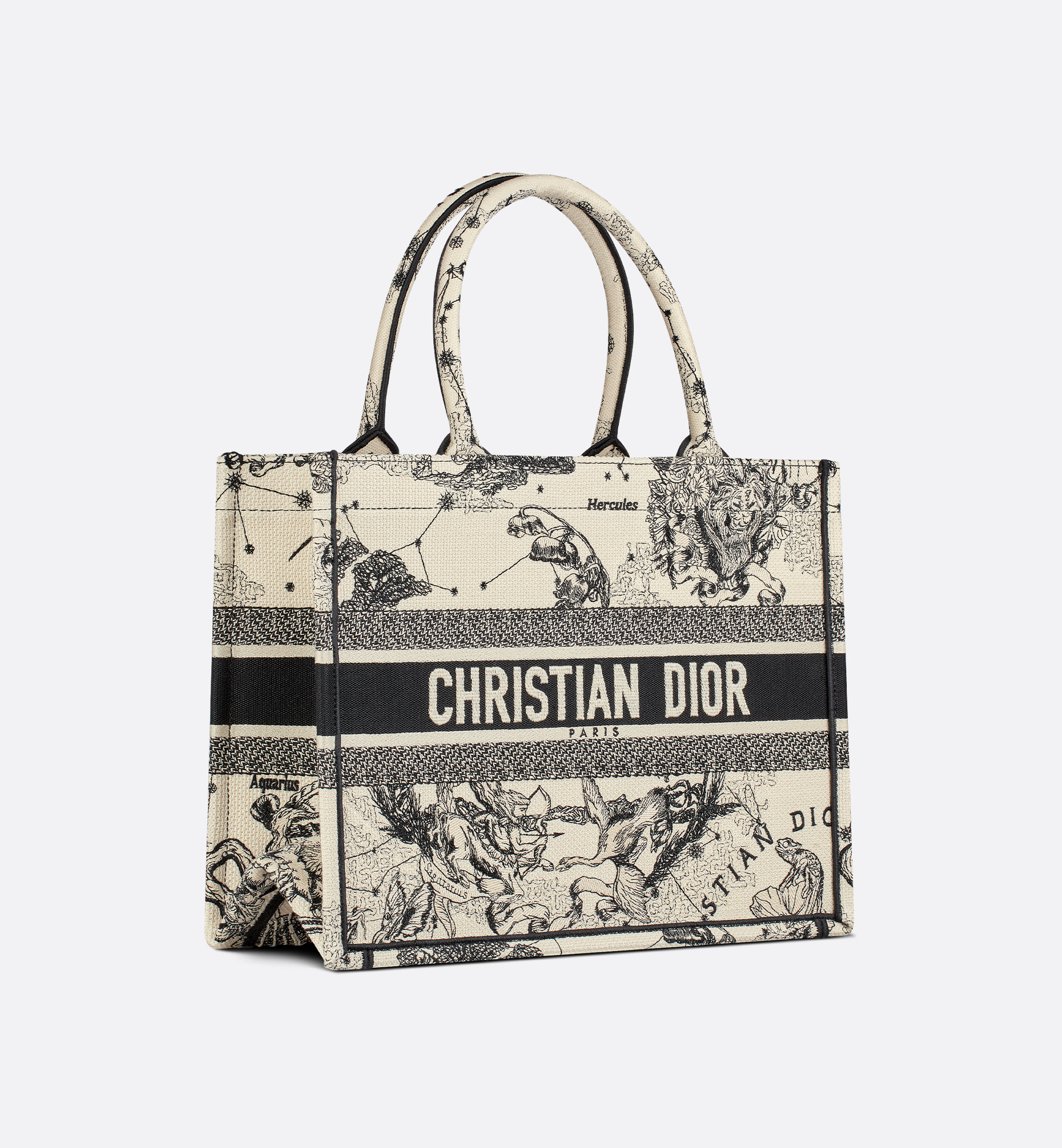Medium Dior Book Tote - 4