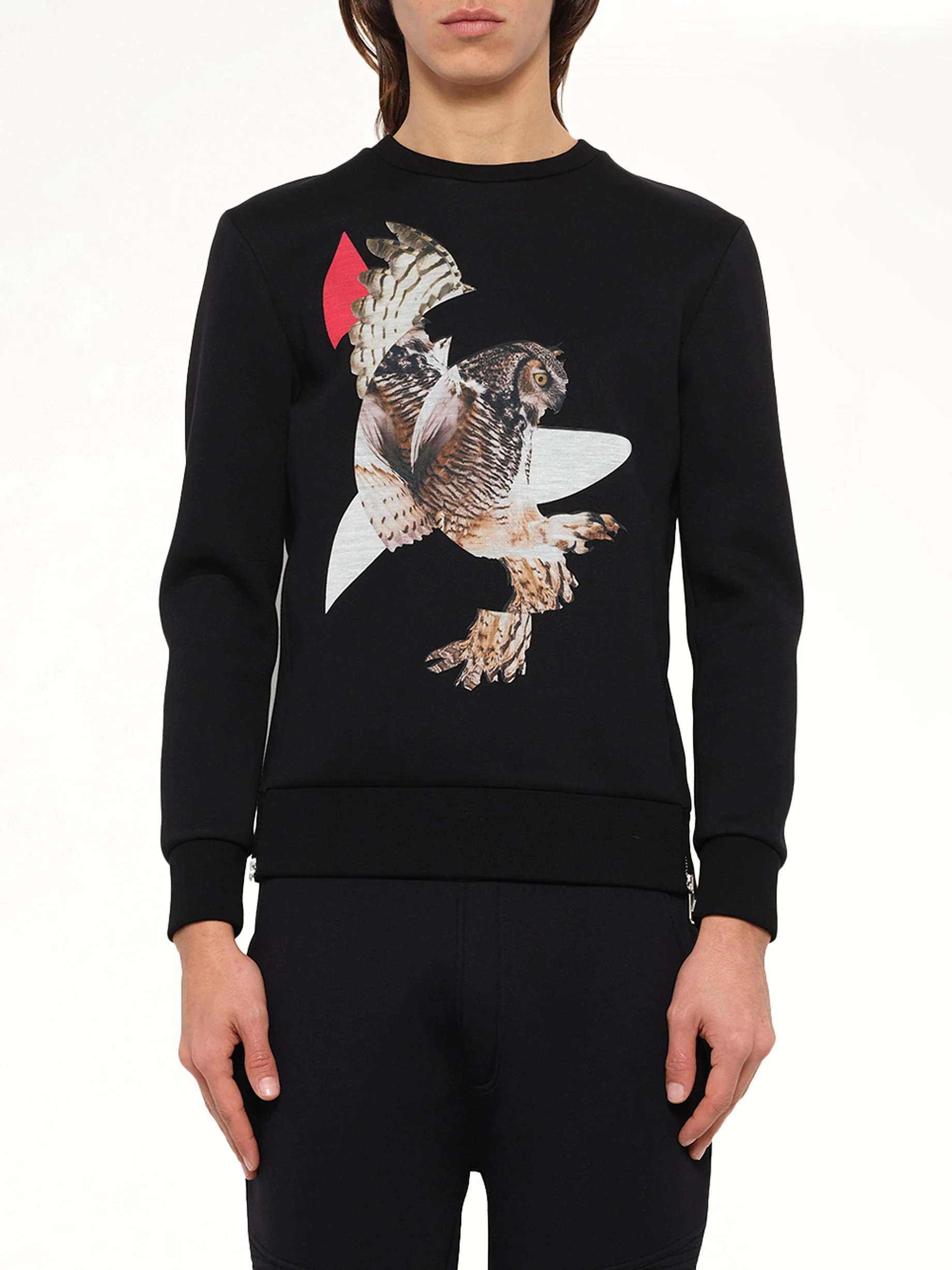 Owl Sweatshirt in Black - 1