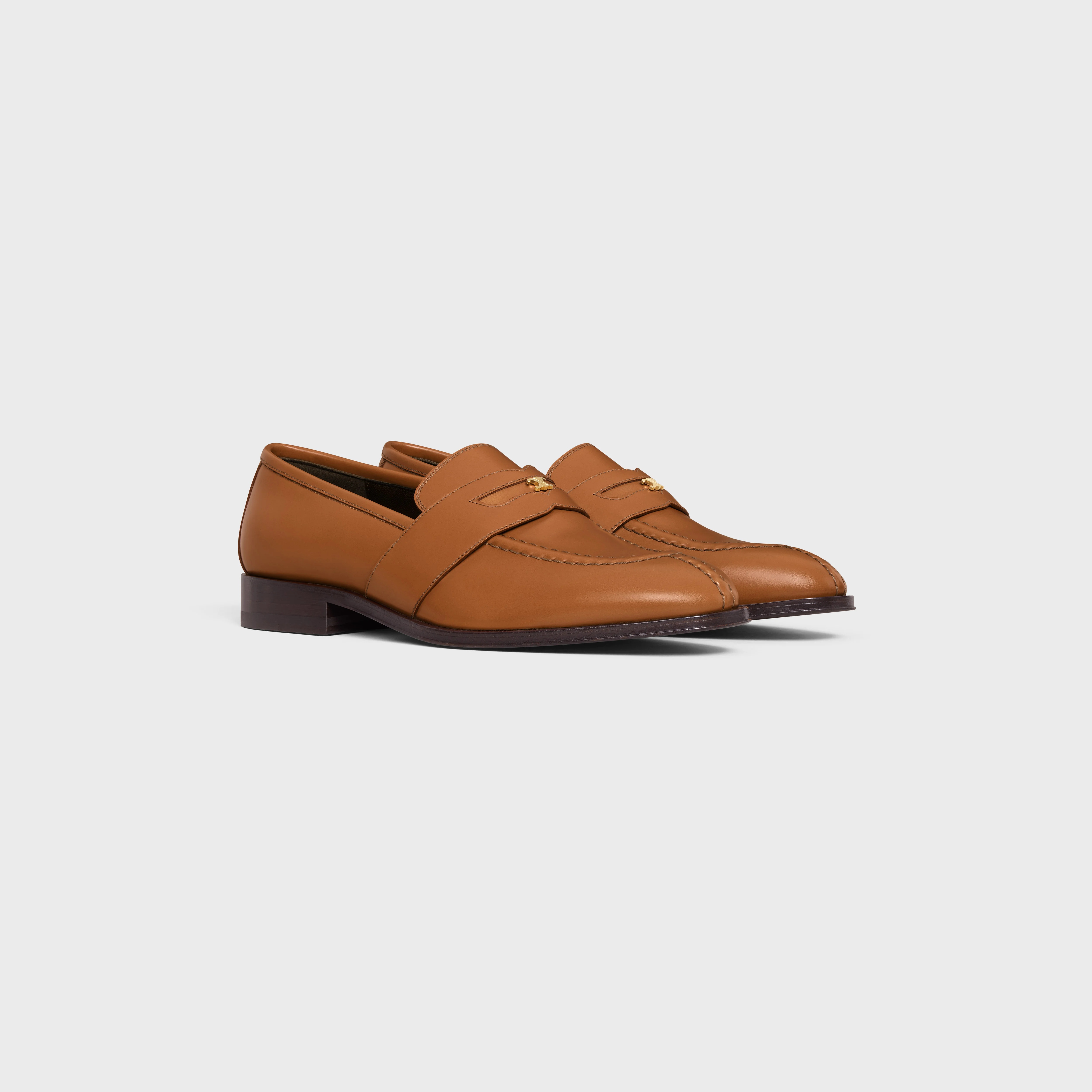 CELINE MALAQUAIS TRIOMPHE LOAFER in POLISHED BULL - 2
