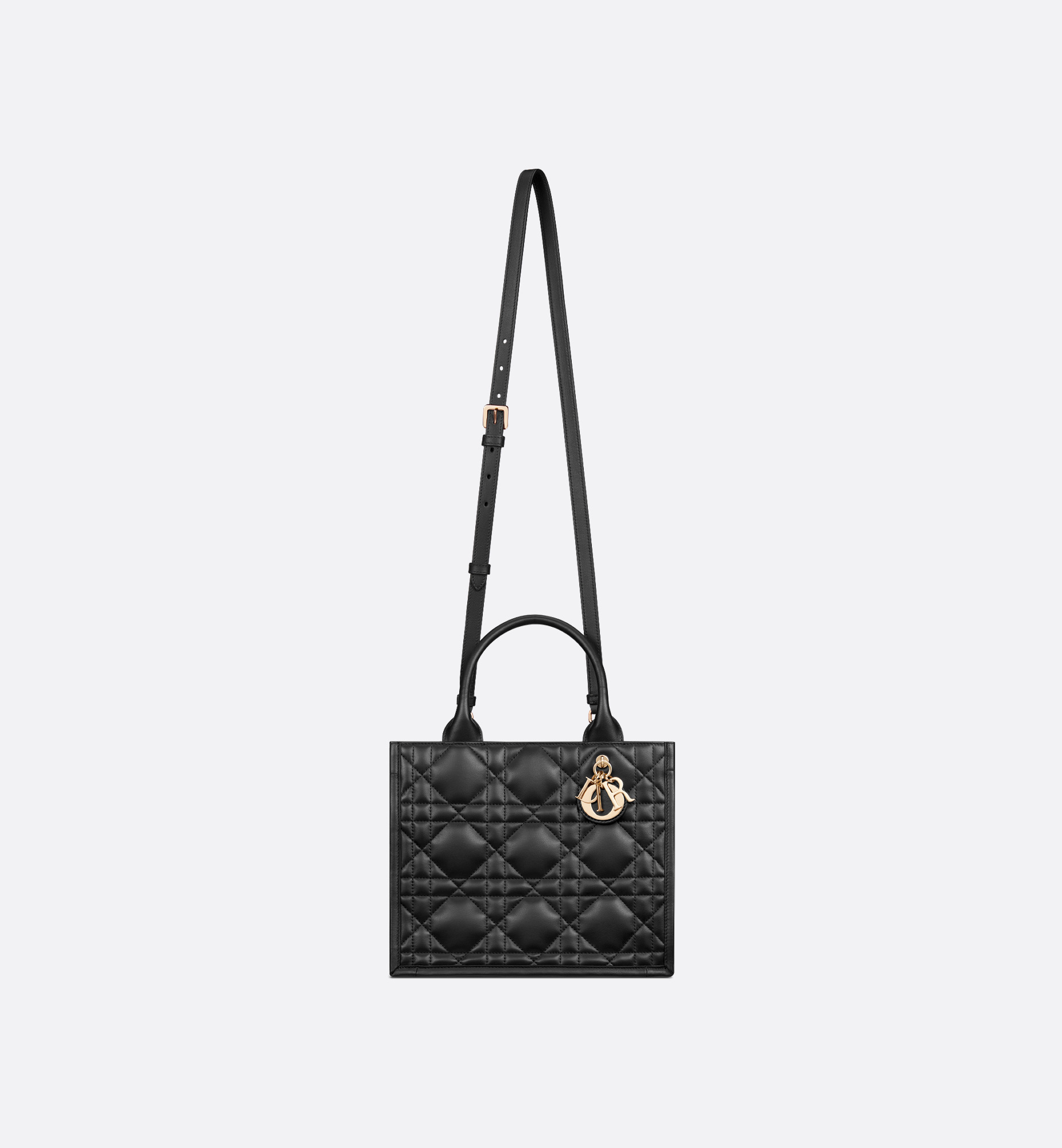 Small Dior Book Tote - 6