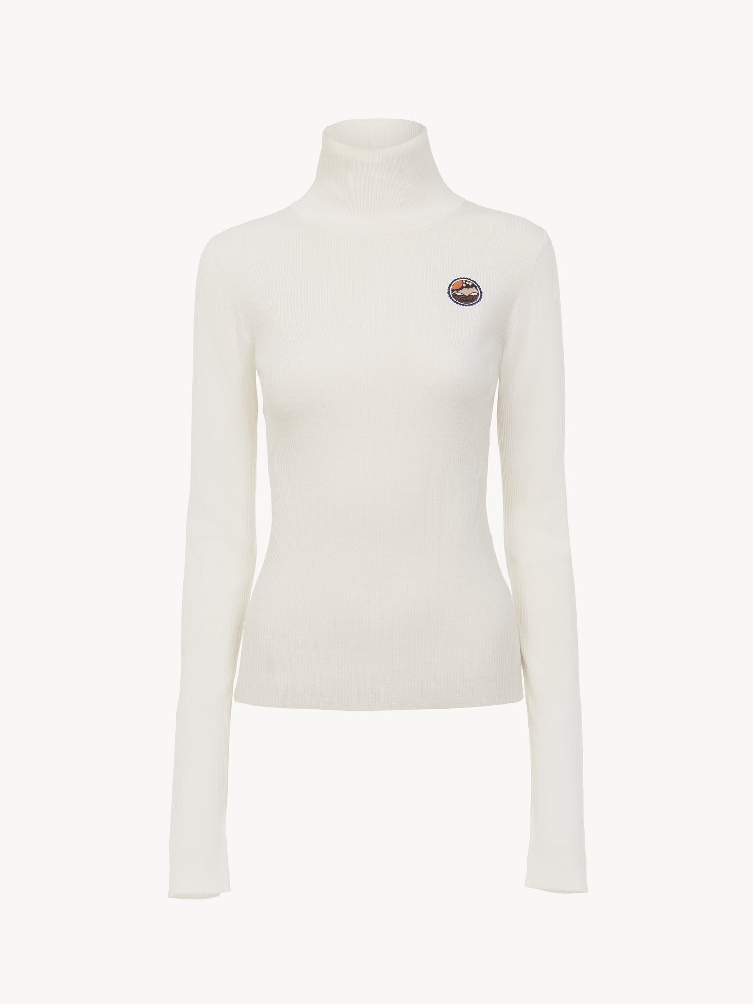 FITTED TURTLENECK TOP - 2