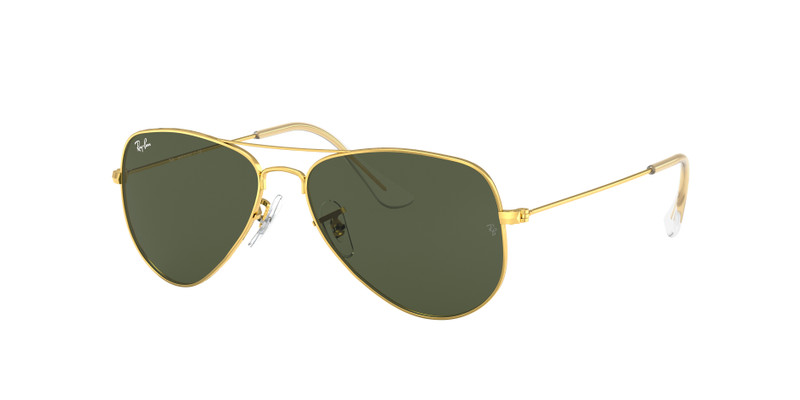 AVIATOR EXTRA 소형 3