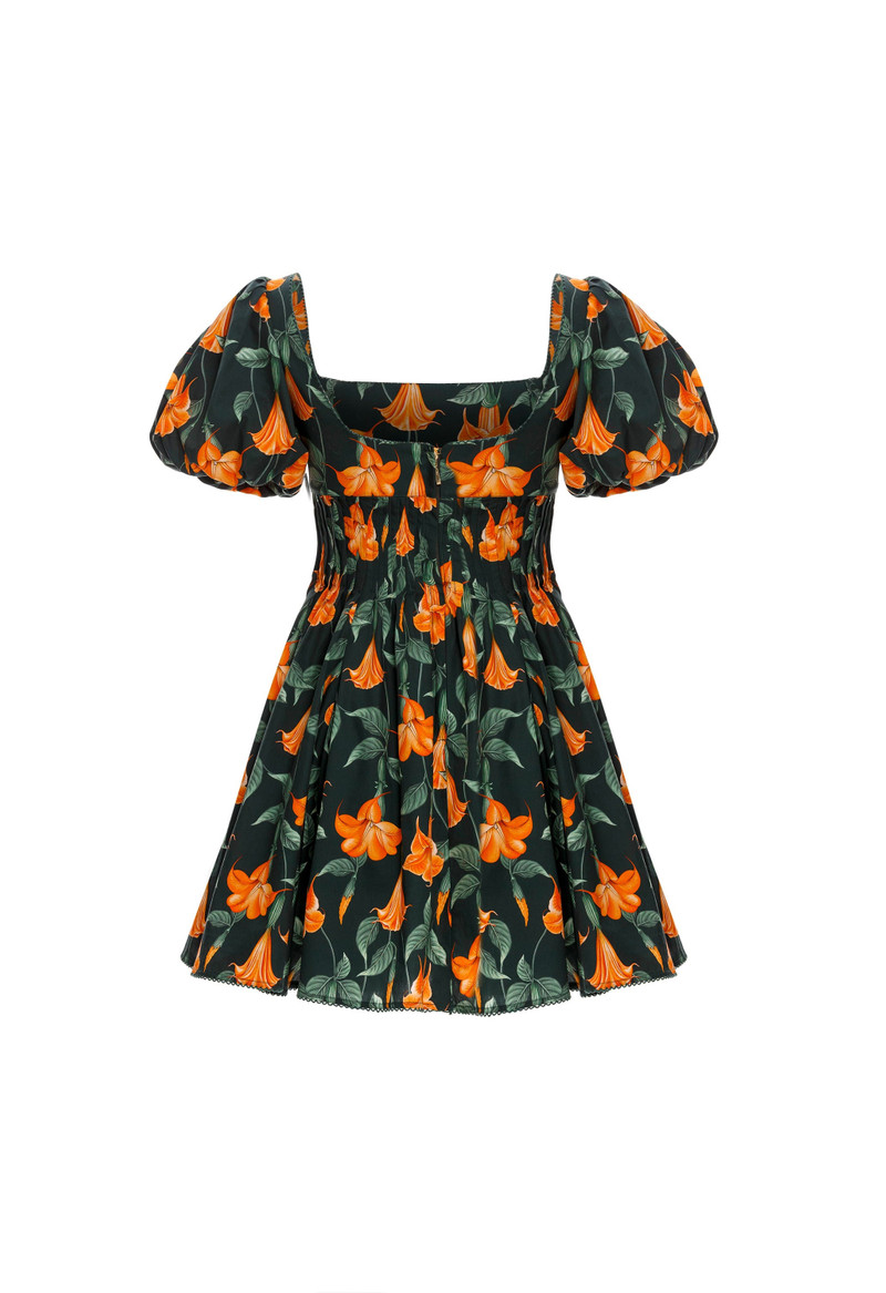 Caramelo Sabanero Nocturo Mini Dress 3
