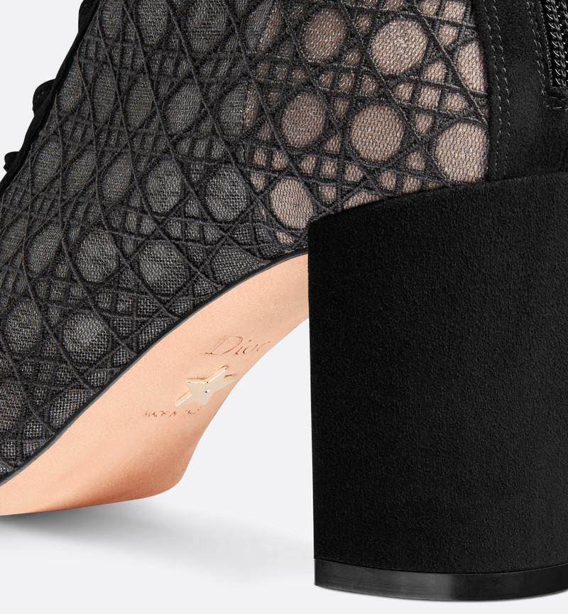 Dior Naughtily-D Heeled Ankle Boot outlook