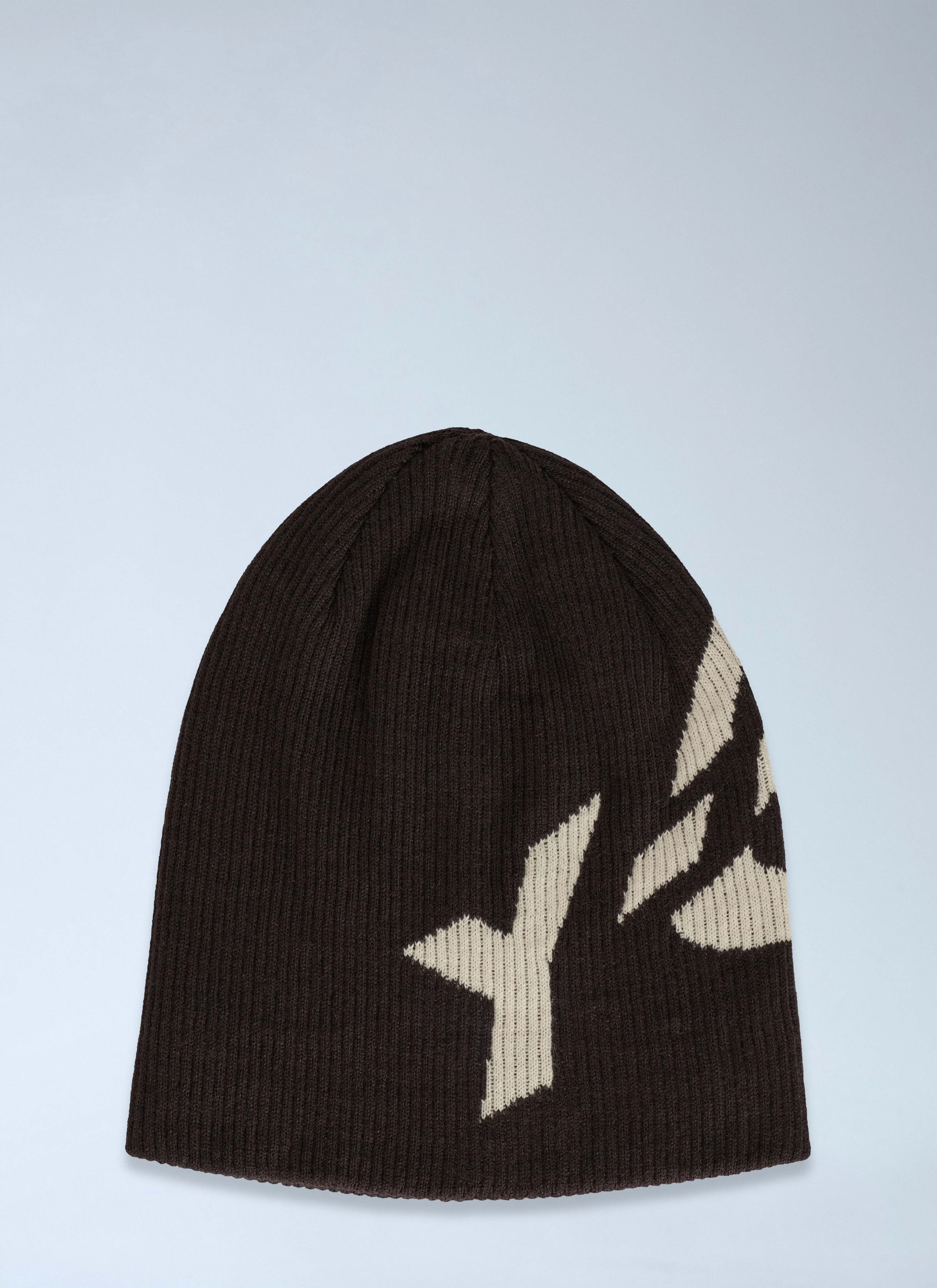 Graphic Logo Beanie Hat - 1