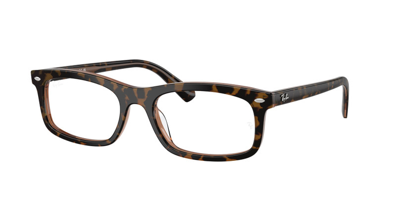 RB5450 OPTICS 3