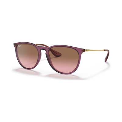 Ray-Ban RB4171 Erika Classic outlook