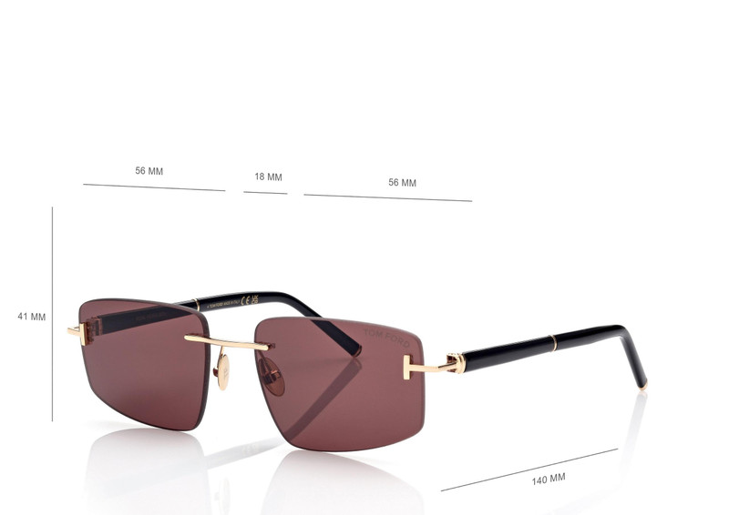 SQUARE TITANIUM AND HORN SUNGLASSES 4