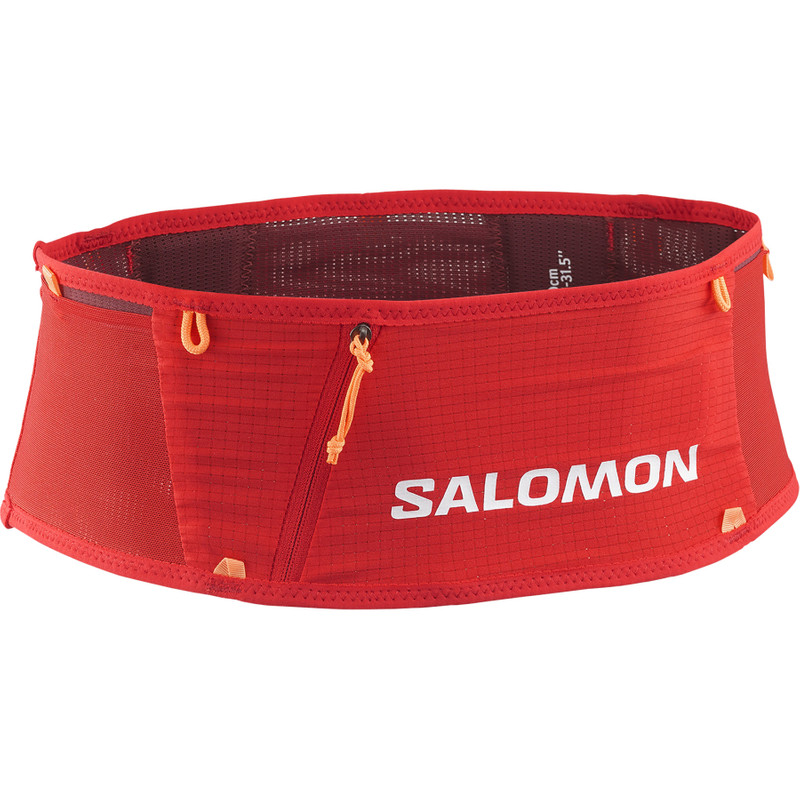 SALOMON S/LAB outlook