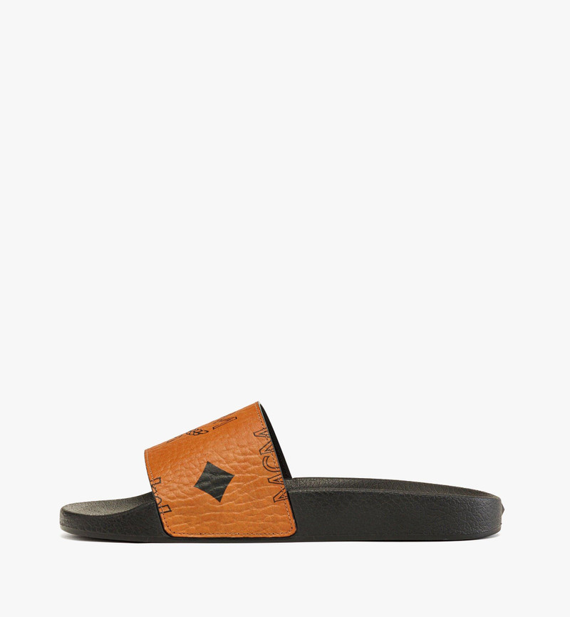 MCM Maxi Visetos Slides outlook