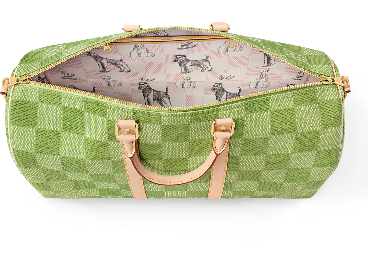 Louis Vuitton by Tyler, the Creator Keepall Bandouliere 50 Green Damier Golf - 3