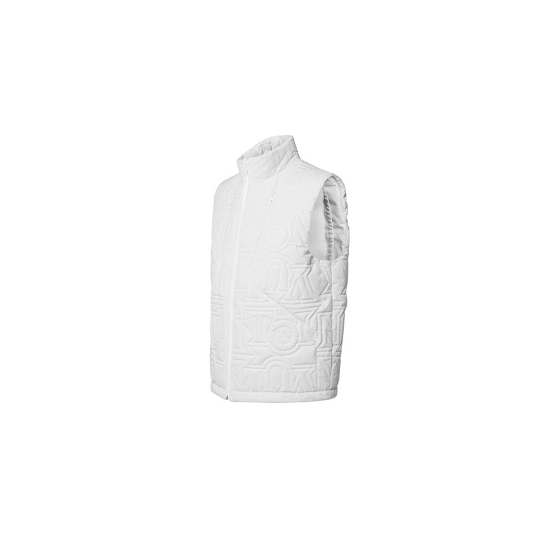 Louis Vuitton Allover  Vuitton Snow Down Gilet outlook