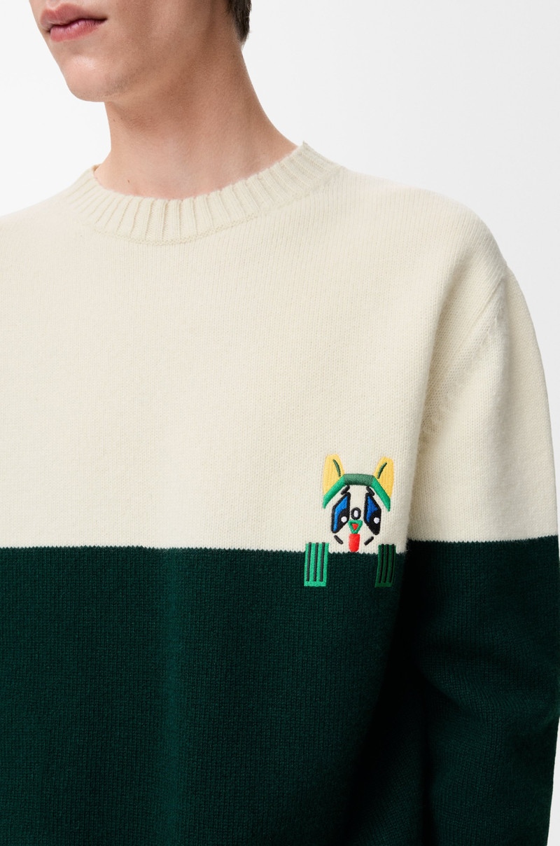 Sweater in wool 5