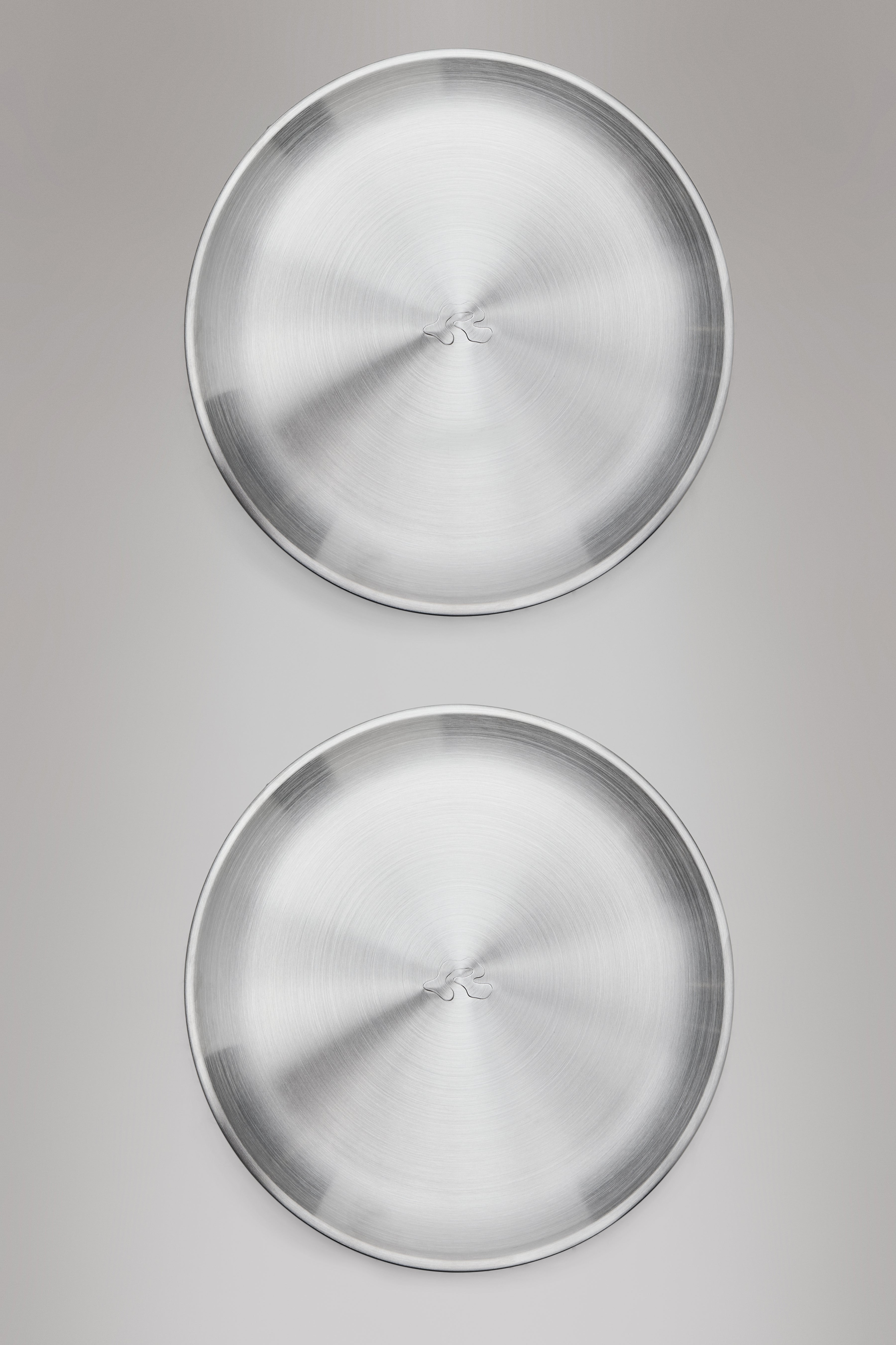Stainless Steel 2-Pack Plates - 2