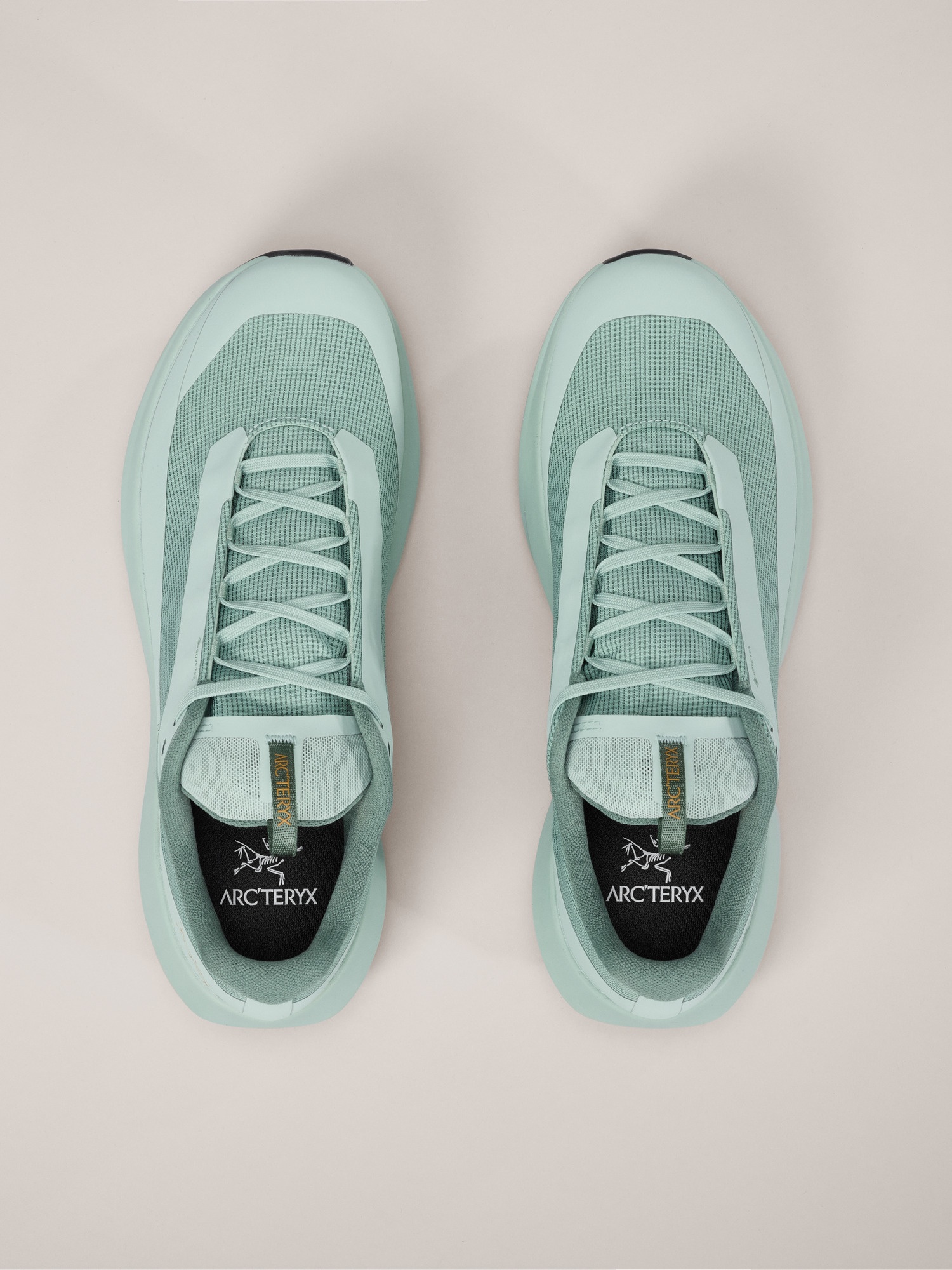 Norvan LD 4 GTX Shoe - 3