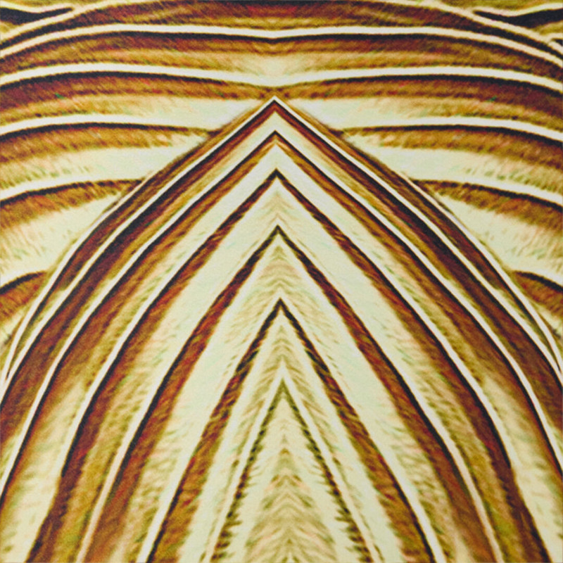 Long Silk Dress with Ray Of Gold Print 5