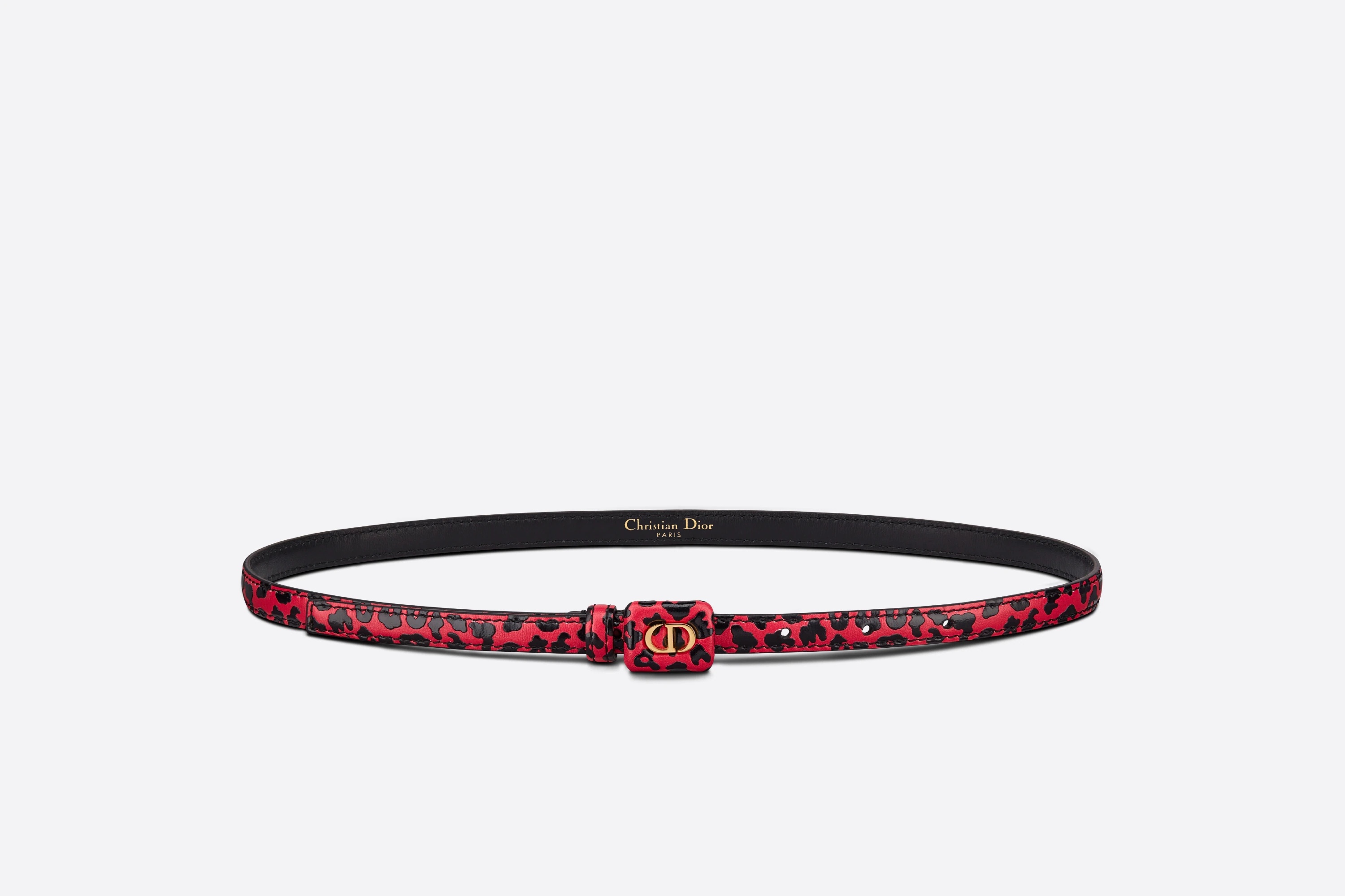 Dior Bobby Belt - 1