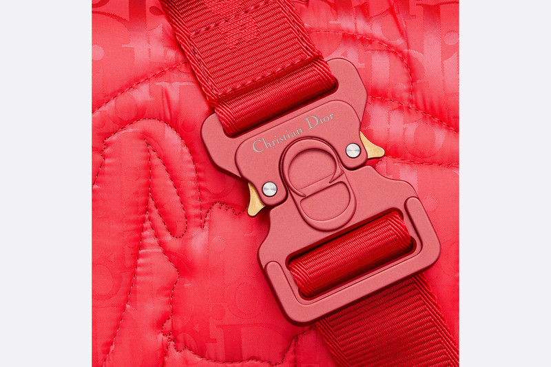 DIOR BY ERL Dior Lingot 22 Bag 6