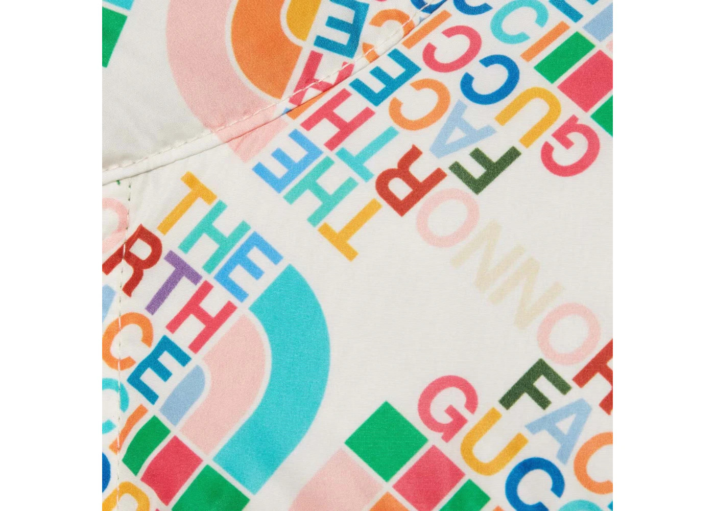 Gucci x The North Face Down Jacket Ivory/Multicolor - 3
