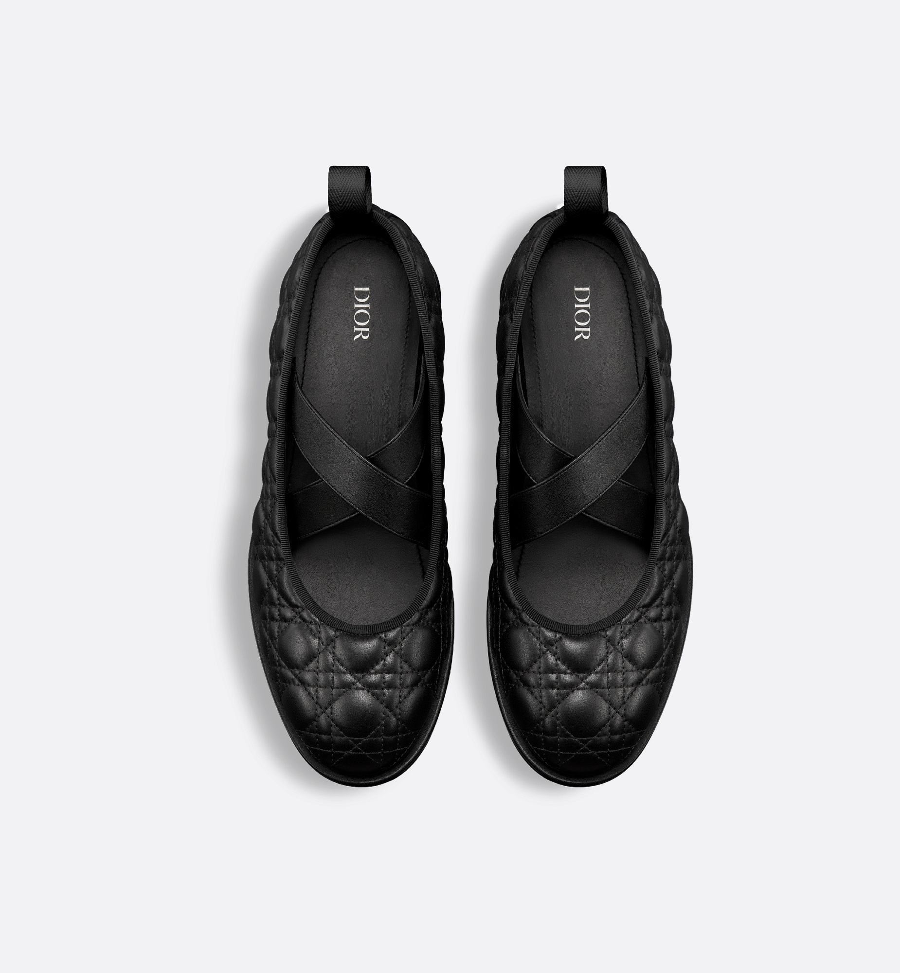Dior Tendu Ballet Flat - 5