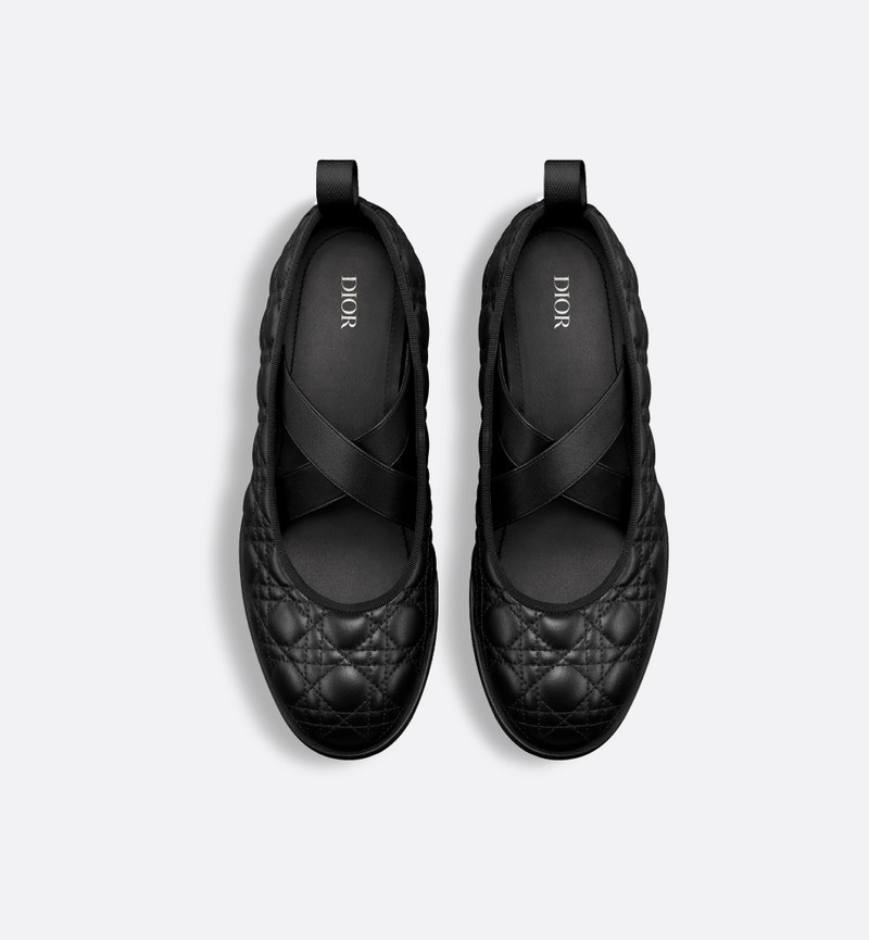 Dior Tendu Ballet Flat 5