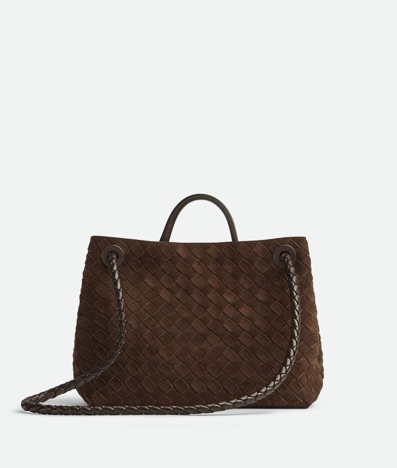 Bottega Veneta Medium Andiamo outlook
