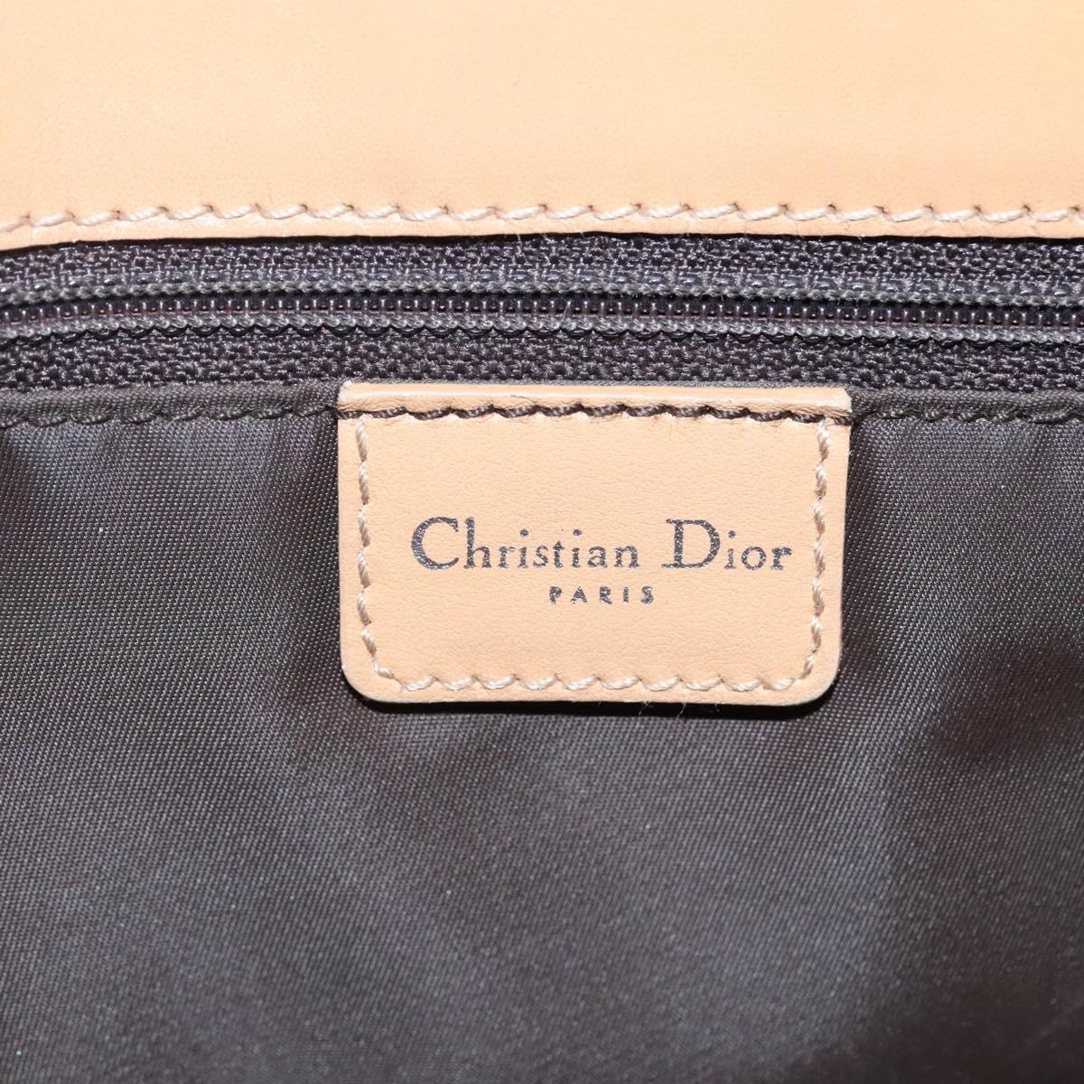 DIOR Trotter Canvas Tote Bag Brown Beige Silver - 14