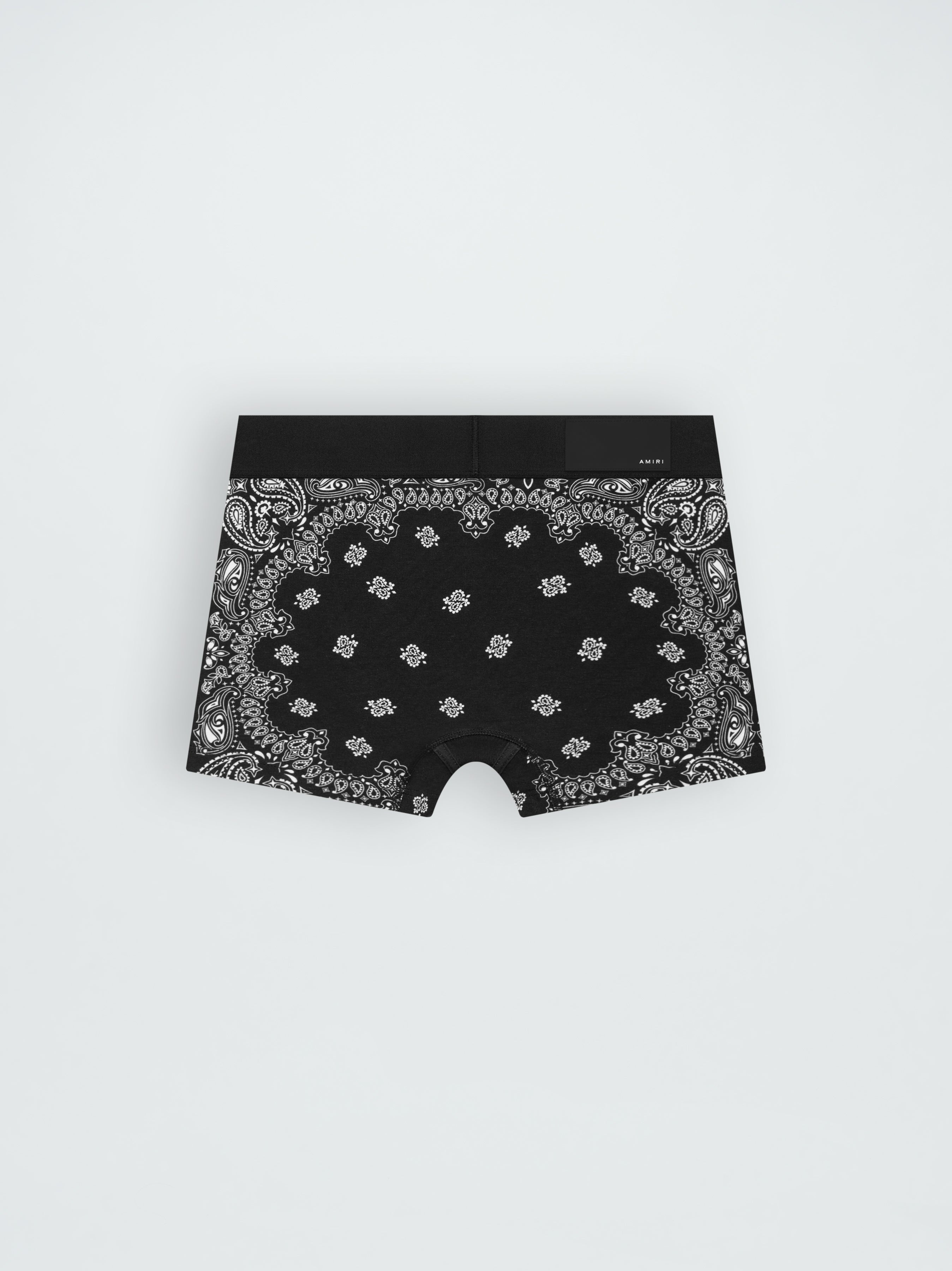 BANDANA BRIEFS - 2