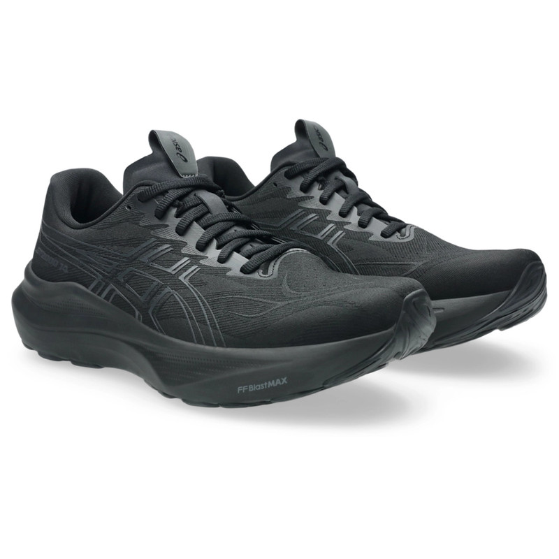 Asics GT-2000 14 outlook