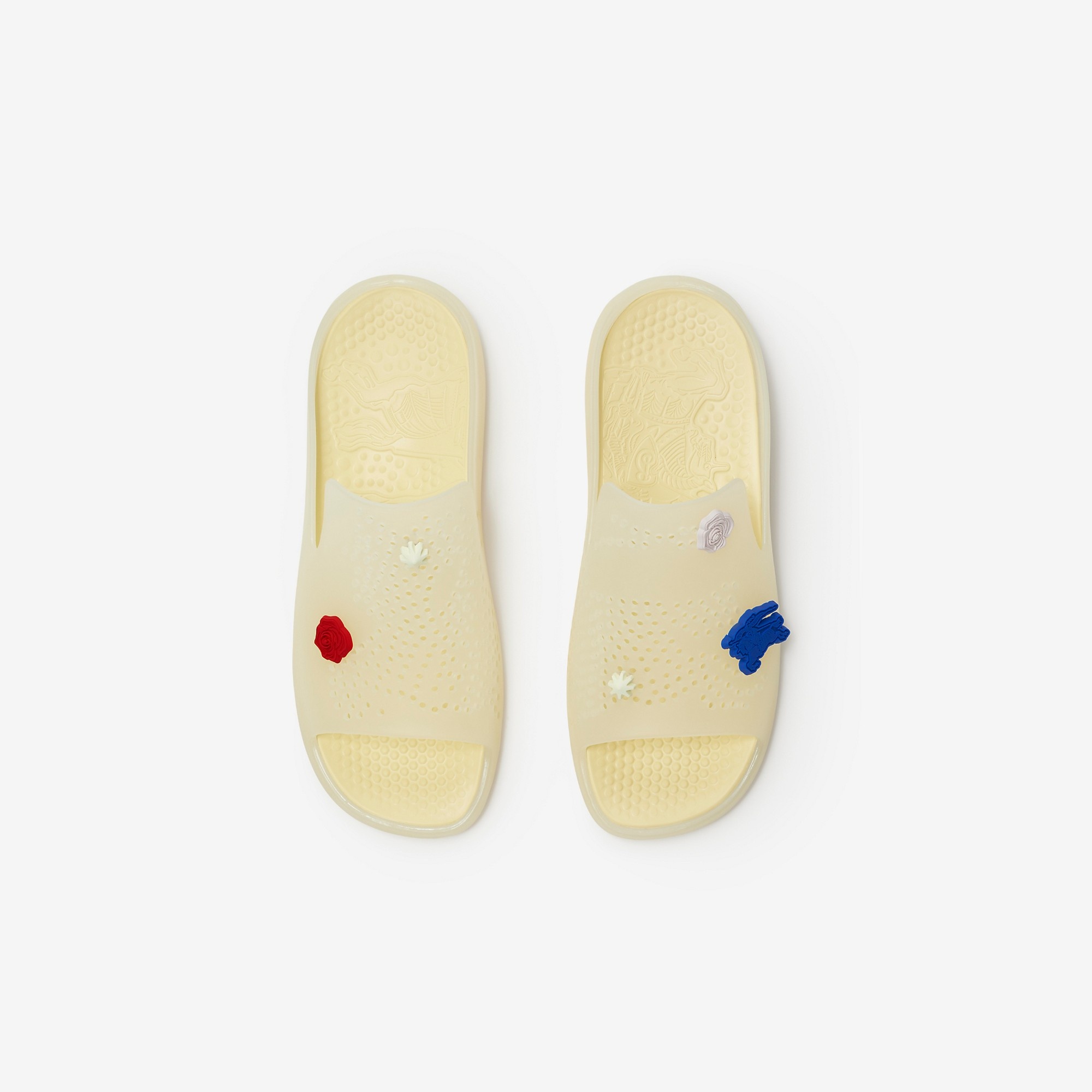Rubber Stingray Slides - 5
