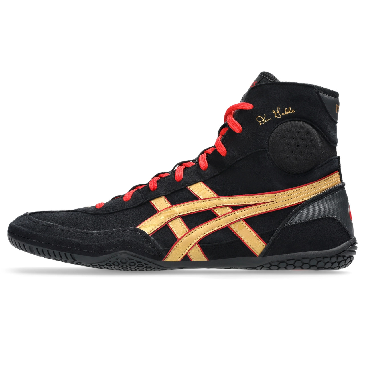 DAN GABLE EVO 3 - 8