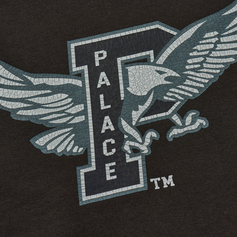 PALACE PALACE EAGLES HOOD BLACK outlook