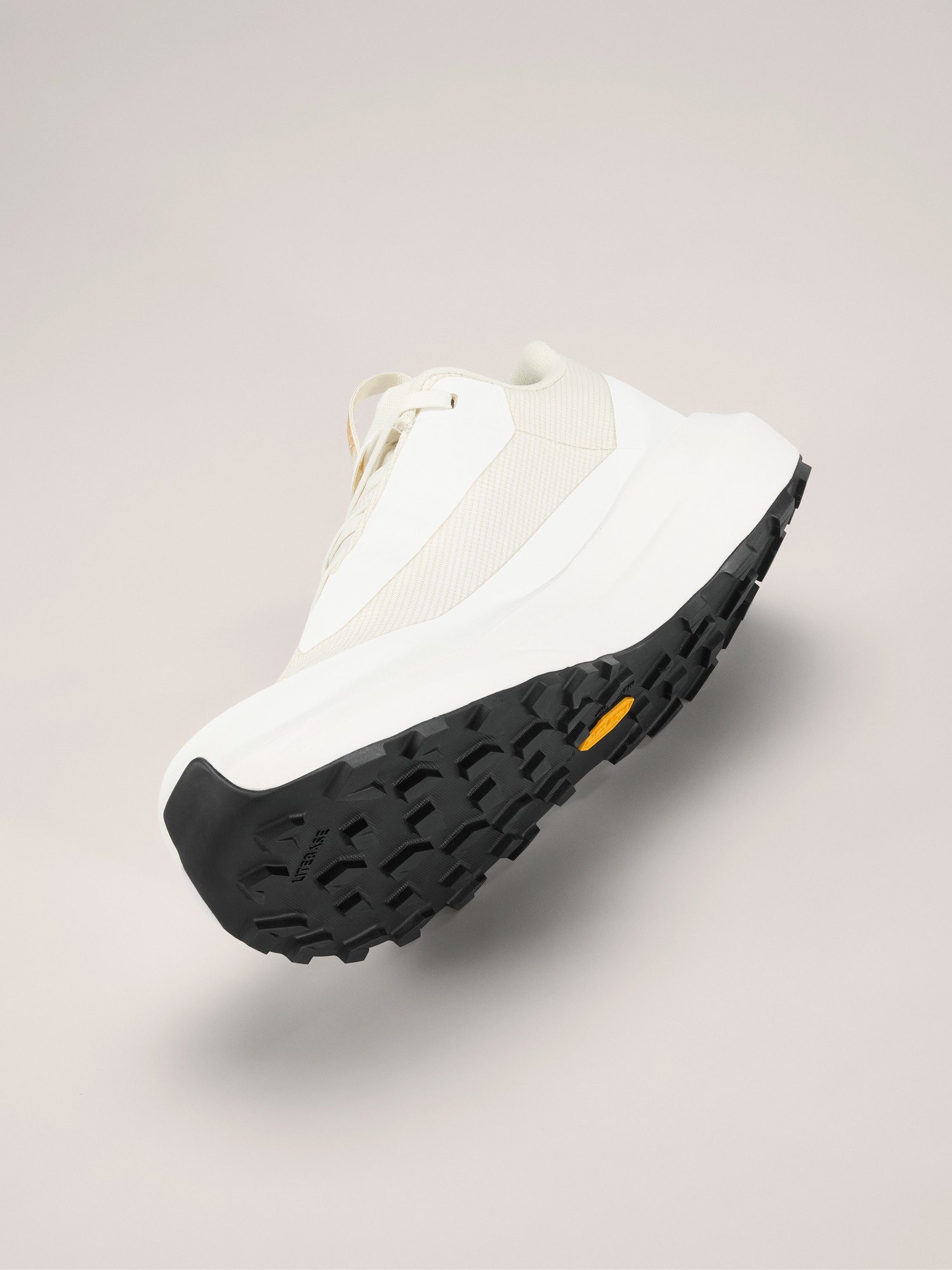 Norvan LD 4 GTX Shoe - 5