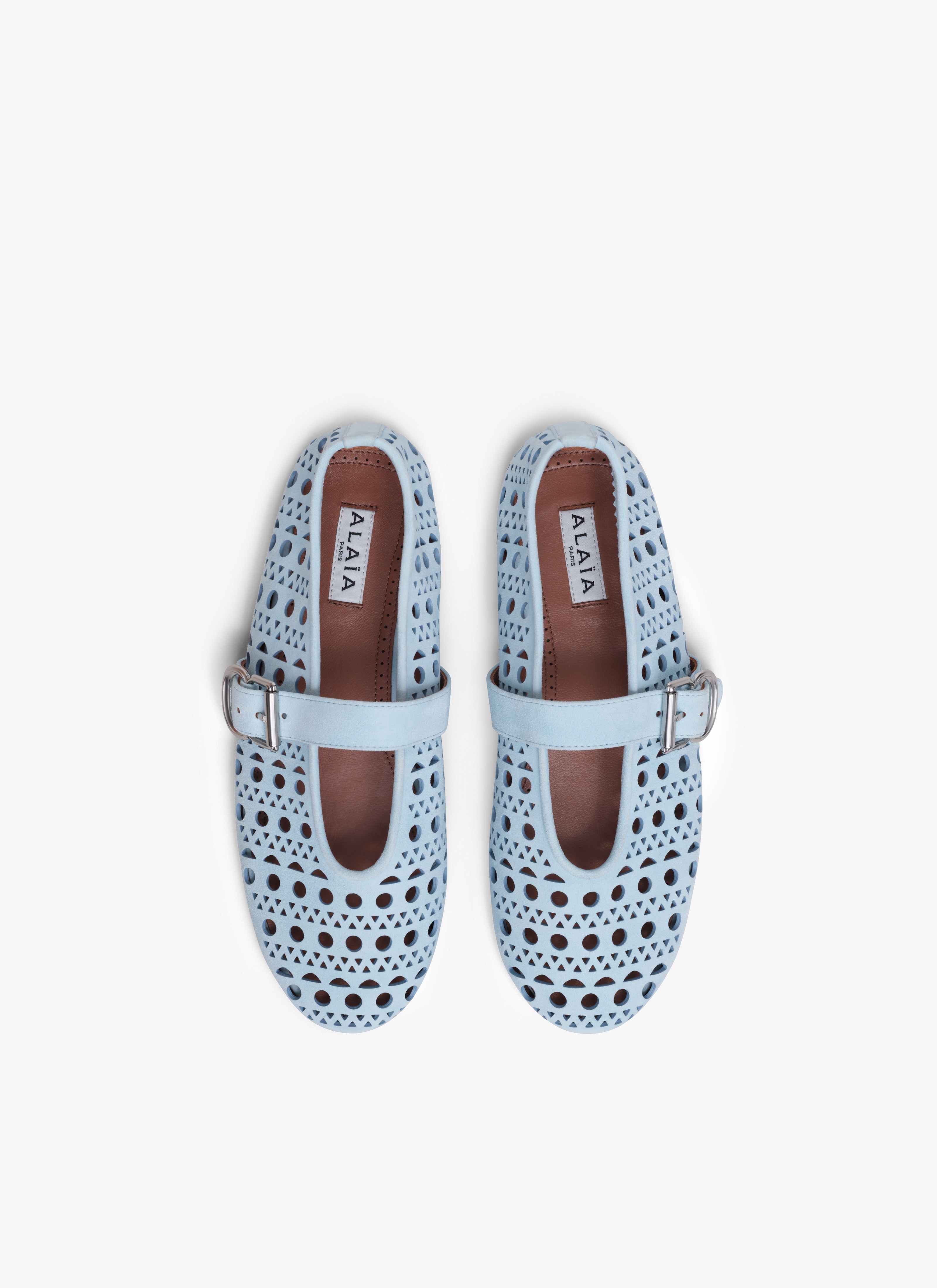 BALLET FLATS IN VIENNE GOATSKIN - 2