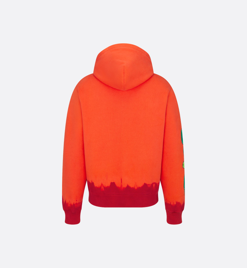 DIOR AND KAWS Hooded Sweatshirt 6