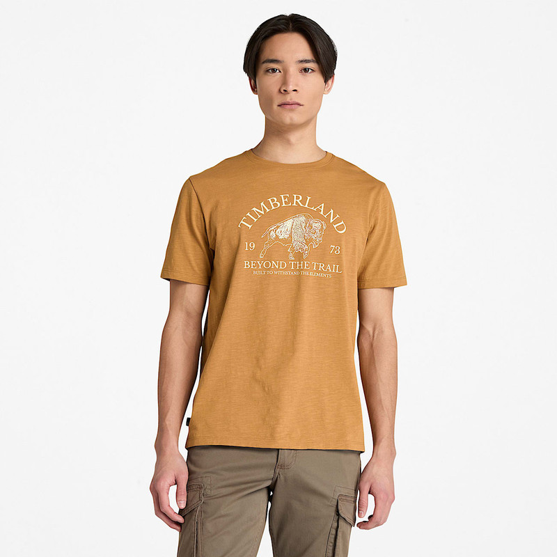 Men's Graphic Short-Sleeve T-Shirt 1
