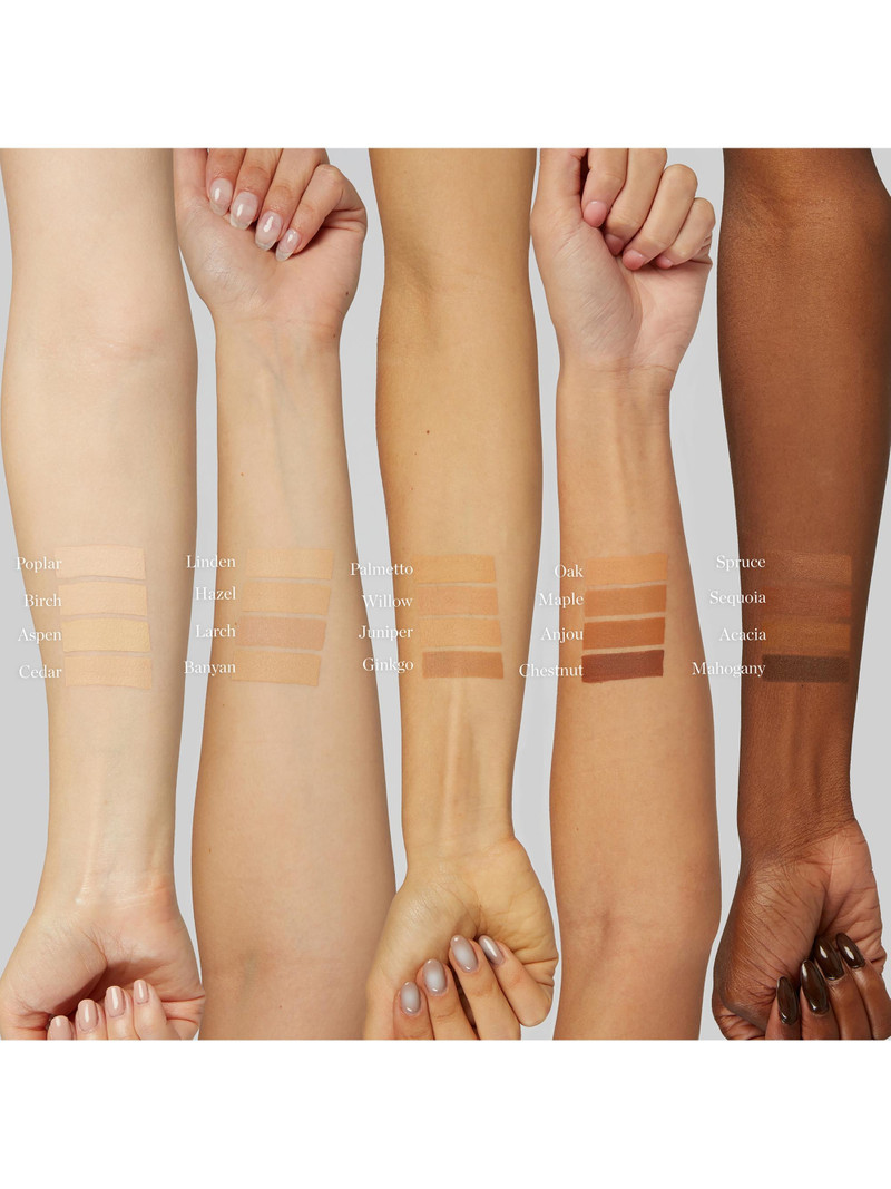 Women's Sculpted Complexion Stick - Palmetto 2.80N 5