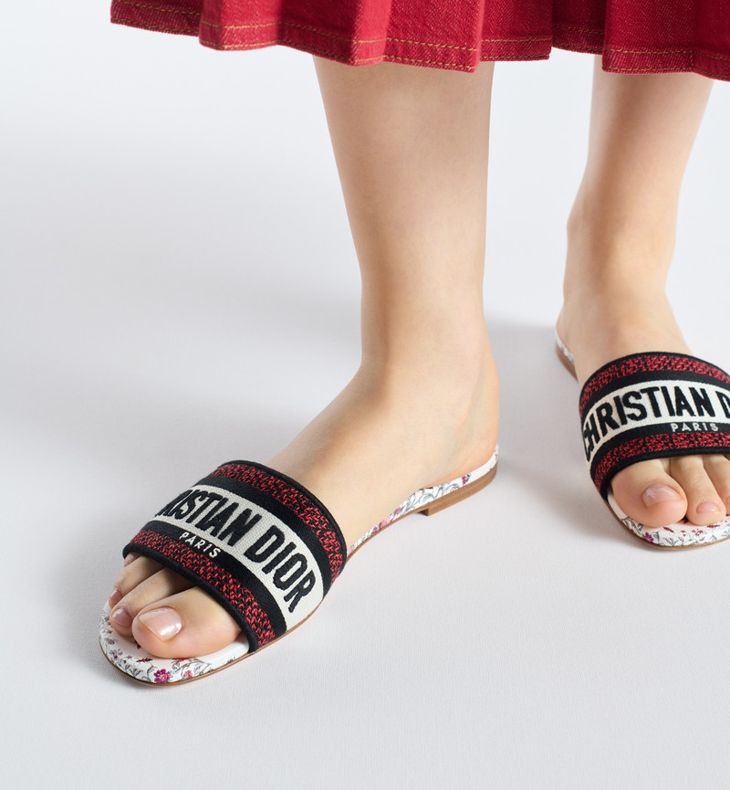 Dioramour Dway Slide 3